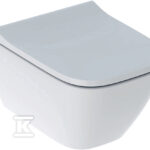 SMY.SQU.WIS.MIS.WC,.LEJ.B35.H33.T49.