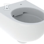 SEL.COM.WIS.MIS.WC,.LEJ.B35.H33.T49.