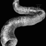 PRZEW.WENT.D=163MM NIEIZOL. 10MB ELAST